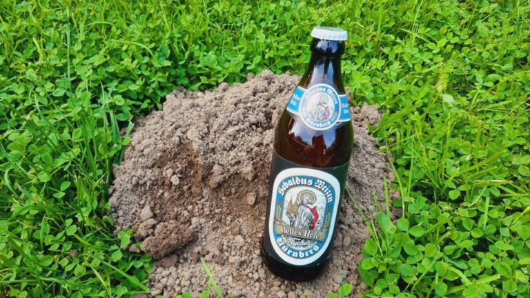 Sebaldus Weizen Helles Hefe