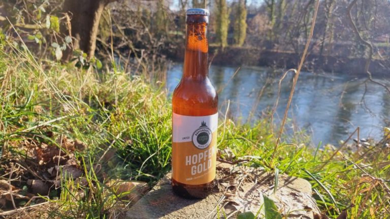 Hopfengarten Bamberg Hopfengold5