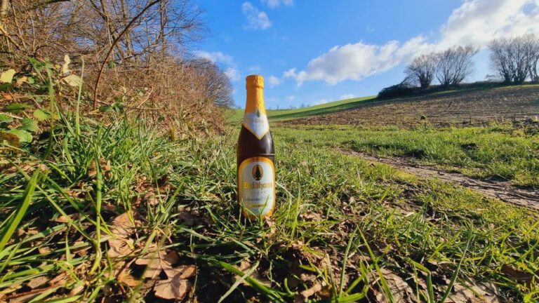 Waldhaus Schwarzwald Weisse5