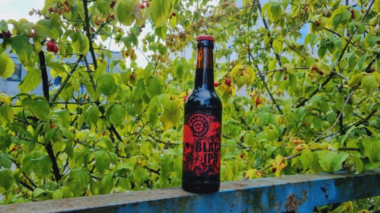 Maisel & Friends Black IPA6