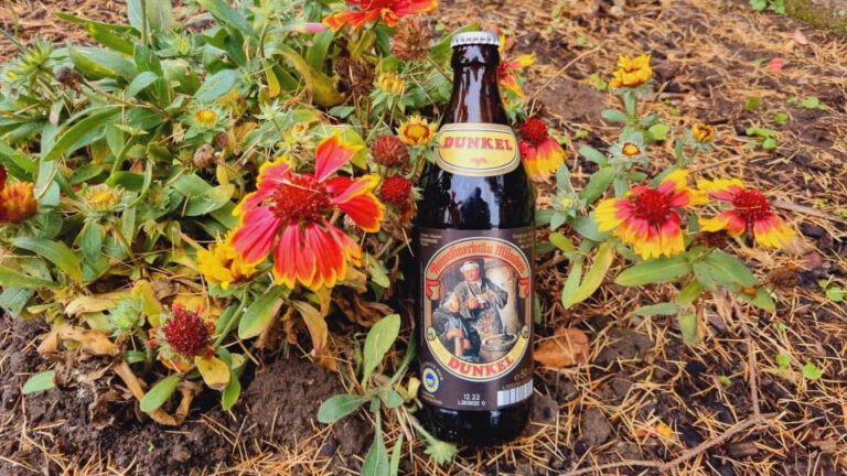 Augustinerbräu München Dunkel5