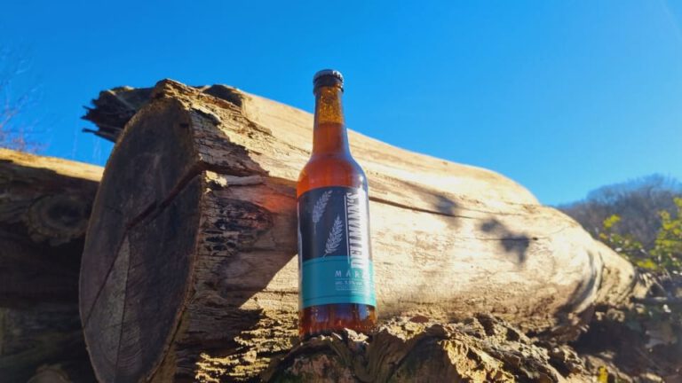 Dellmann's Bräu Märzen5