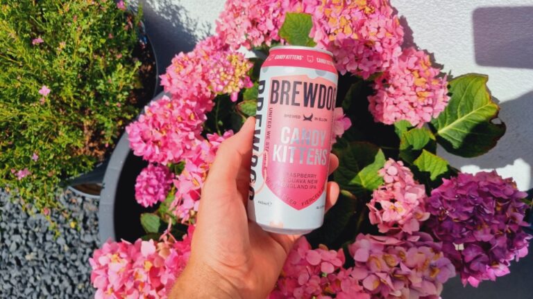 Brewdog Candy Kittens Raspberry & Guava NEIPA