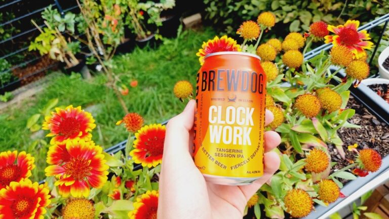 Brewdog Clockwork Work Tangerine Session IPA5