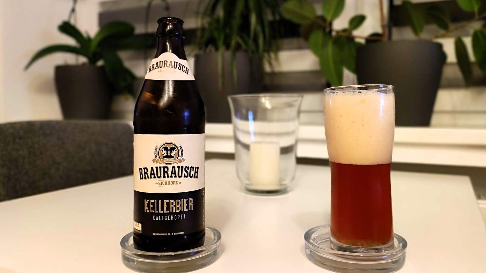 Braurausch Eichhorn Kellerbier im Glas